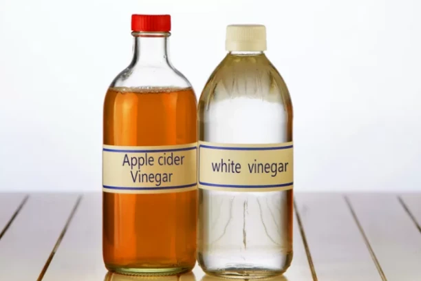 Can I Use Apple Cider Vinegar Instead of White Vinegar